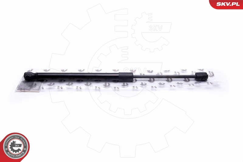 Gas Spring, boot/cargo area